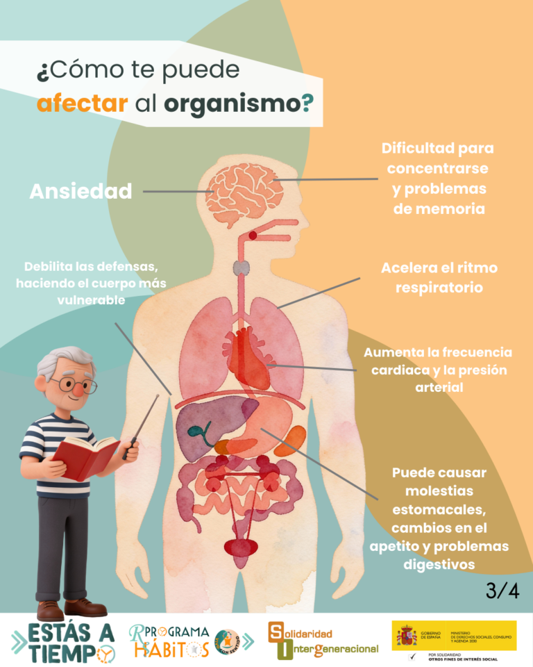 ¿Cómo sienta al organismo el estrés?