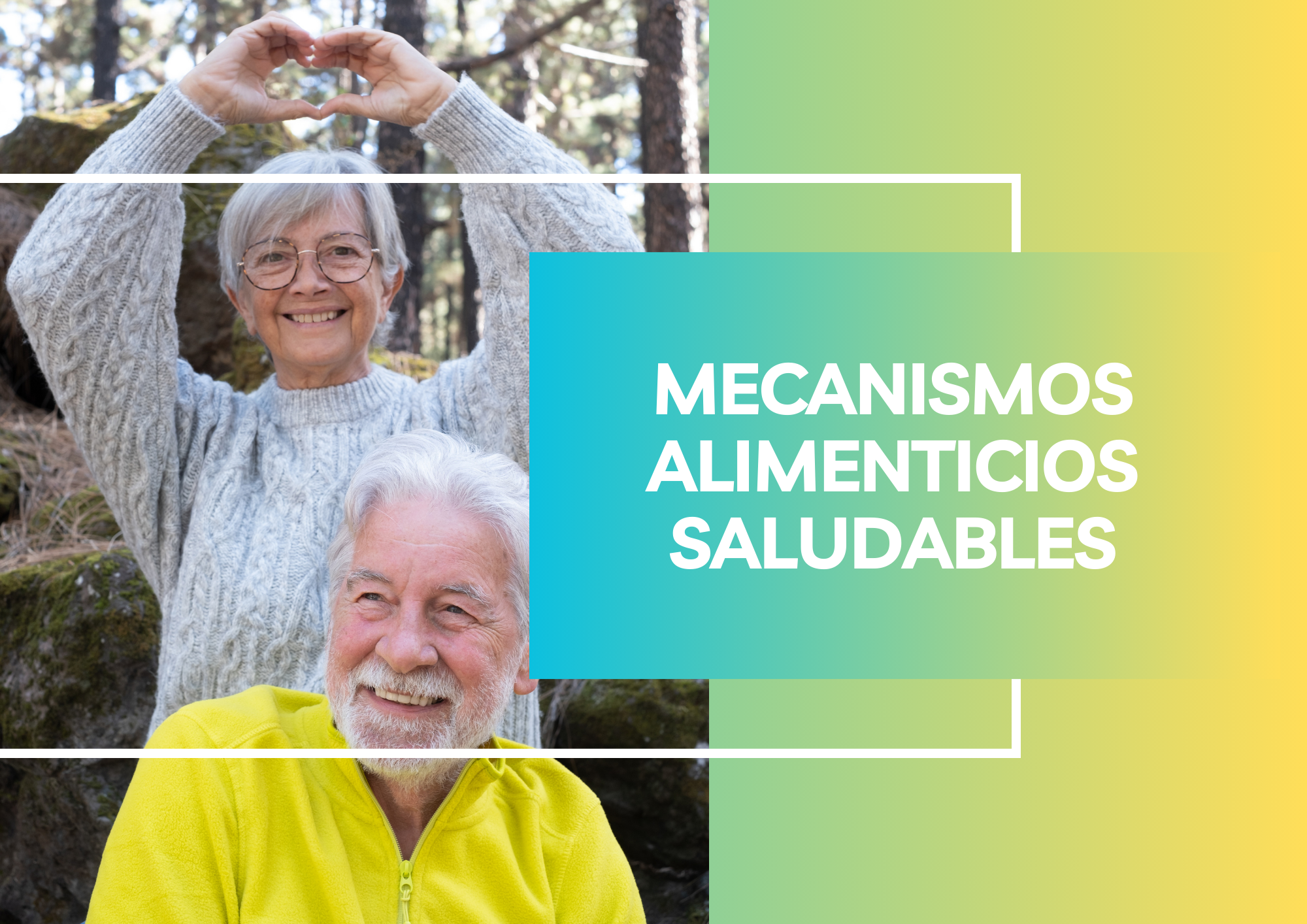 Mecanismos alimenticios saludables